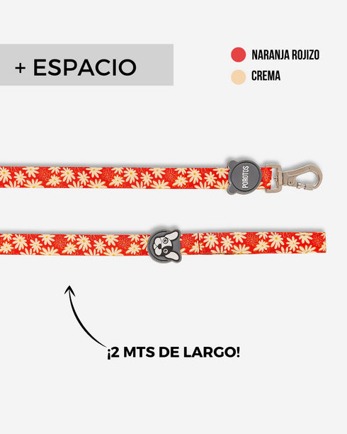 Correa Estándar Margarita de 2 Mts