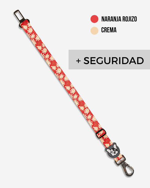 Cinturón de seguridad Margarita
