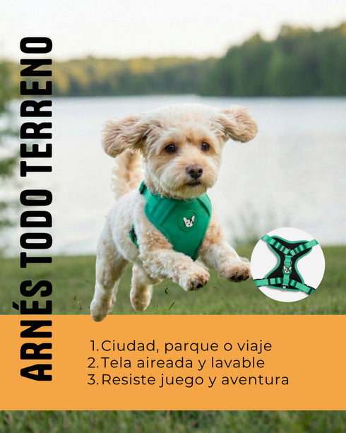 Arnes Doble Agarre Verde