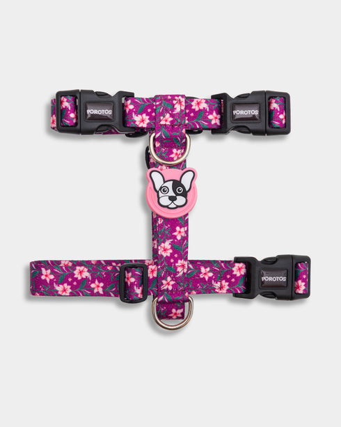 Pretal Freestyle Cerezo