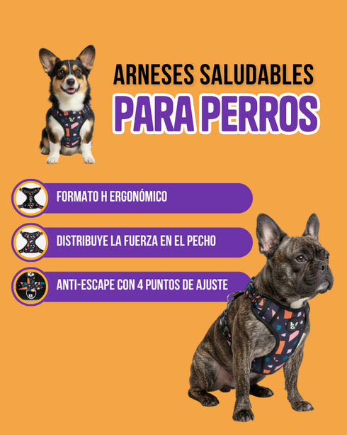 Arnes Doble Agarre Rocky Negro