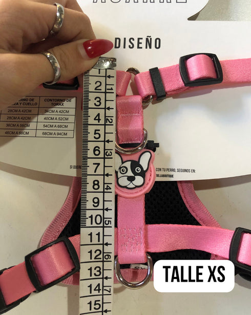 Arnes Doble Agarre Azul (acero)