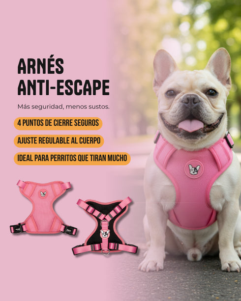 Arnes Doble Agarre Floral