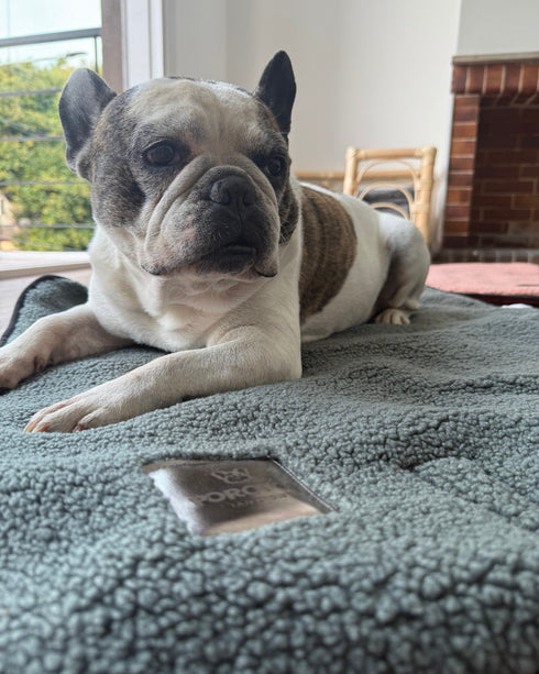 Mat Bag Teddy - Grey