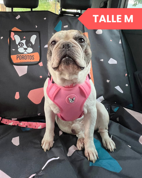 Arnes Doble Agarre Rocky Negro