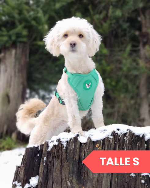 Arnes Doble Agarre Rosa