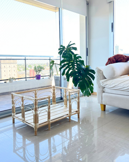 Cucha Presidencial 50x70cm