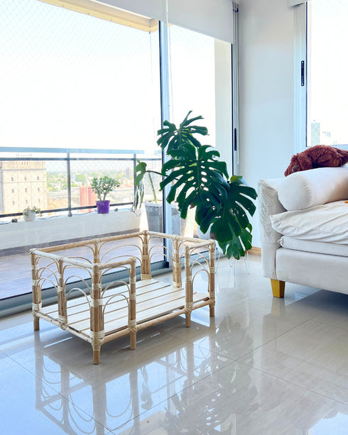 COMBO 2 "Cucha Presidencial + Colchón Simmons + Funda de regalo 70X90cm"