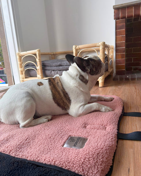 Mat Bag Teddy - Ciruela