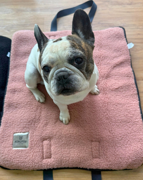 Mat Bag Teddy - Ciruela