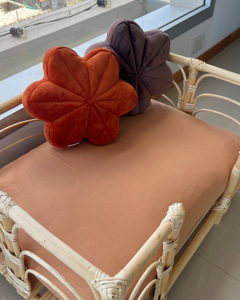 COMBO 2 "Cucha Presidencial + Colchón Simmons + Funda de regalo 70X90cm"