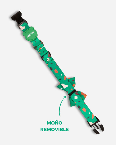 Collar con Moño Rocky Verde