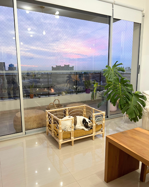 Cucha Presidencial 50x70cm