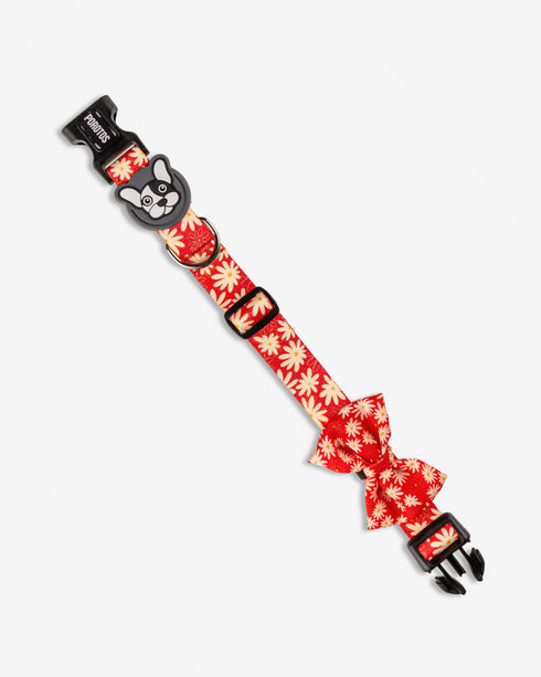 Collar con Moño Margarita