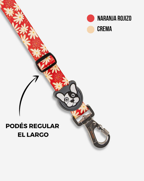 Cinturón de seguridad Margarita