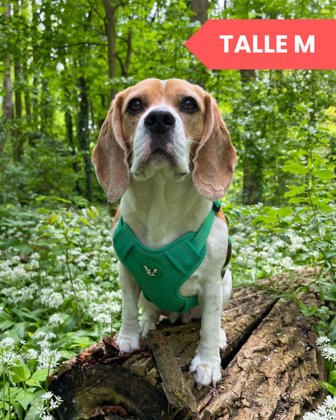 Arnes Doble Agarre Rosa