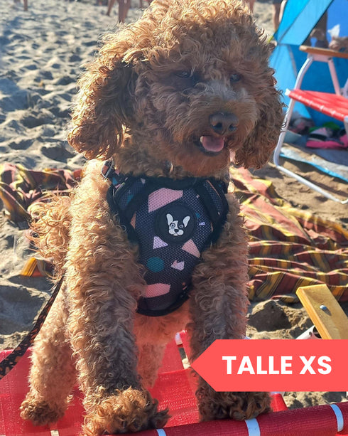 Arnes Doble Agarre Apolo Black