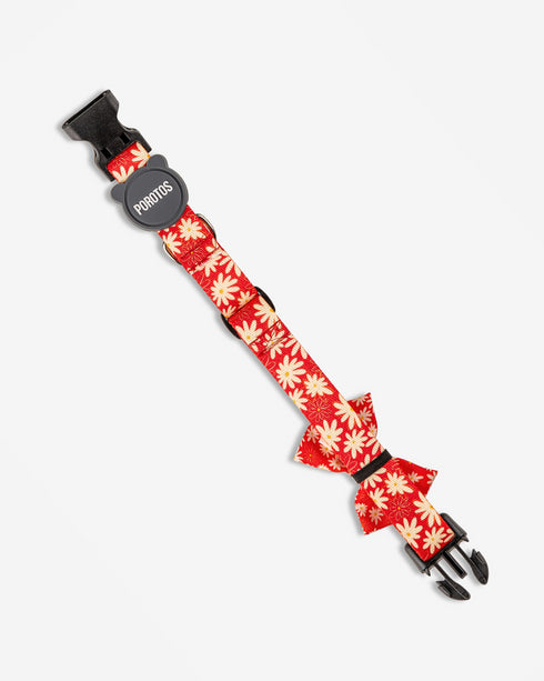 Collar con Moño Margarita