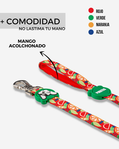 Correa Extra Larga Frutal