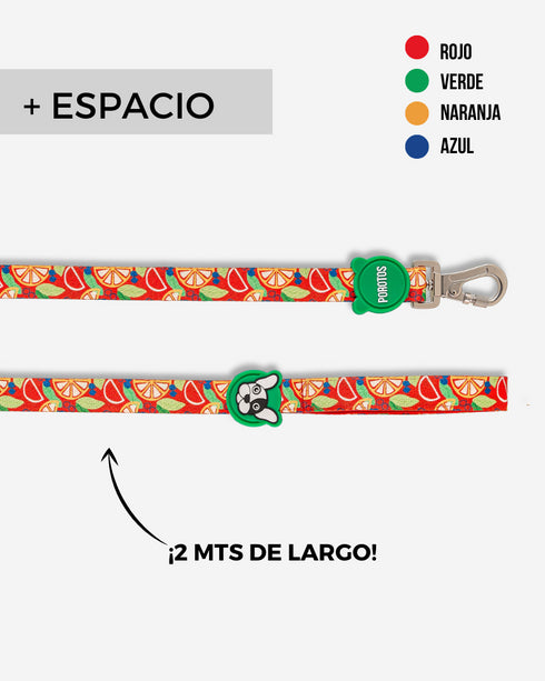 Correa Estándar Frutal de 2 Mts