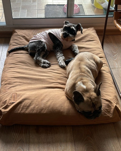 Colchón para Perro Simmons 70x90cm + Funda Tusor de Regalo