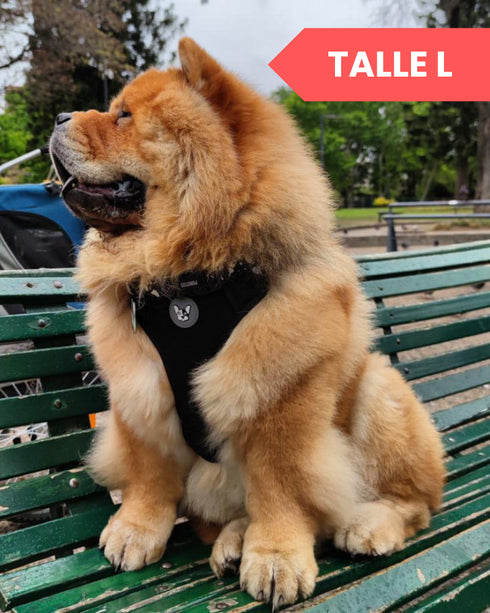 Arnes Doble Agarre Rosa