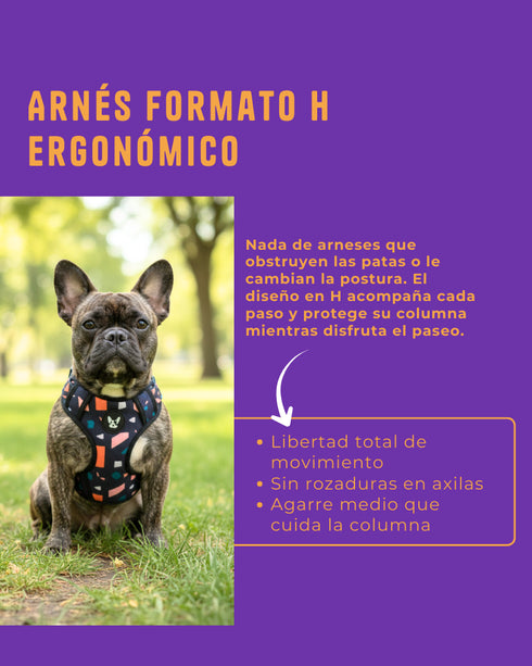 Arnes Doble Agarre Verde