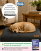 Colchón Premium Simmons para Perros (70x90 cm) + Funda de regalo