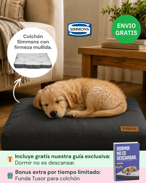 Colchón Premium Simmons para Perros (50x70 cm) + Funda de regalo
