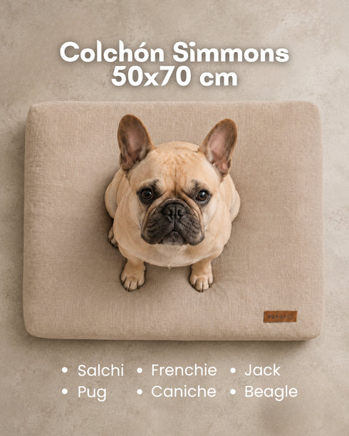 Colchón Premium Simmons para Perros (50x70 cm) + Funda de regalo
