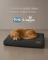 Colchón Premium Simmons para Perros (70x90 cm) + Funda de regalo