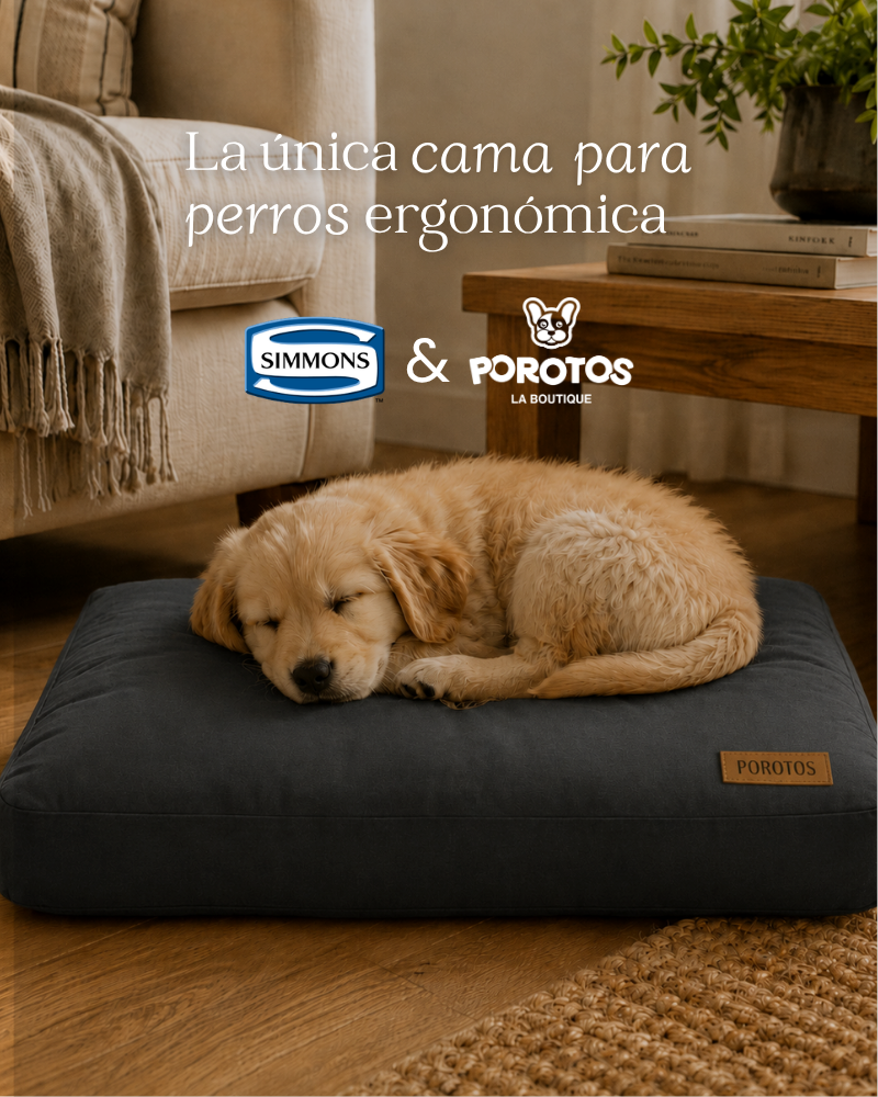 1 Colchón premium Simmons:ErgonómicoNo se aplasta ni deformaRelleno de fibras entrelazadas de memory foam y latex foamOriginales Simmons Argentina