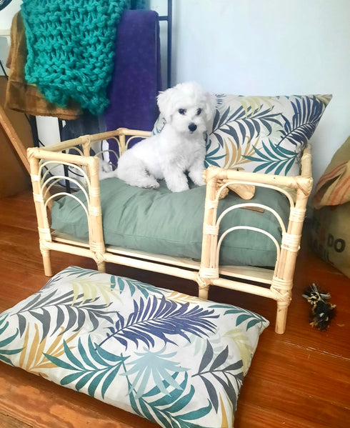 Cucha Presidencial 50x70cm