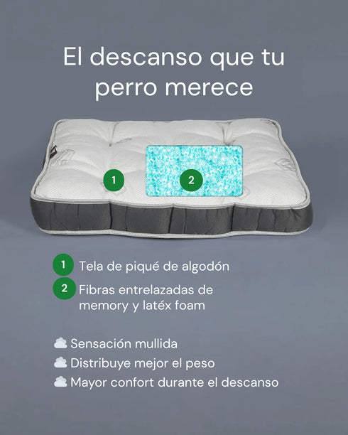 COMBO 1 "Cucha Presidencial + Colchón Simmons + Funda de regalo 50x70cm"