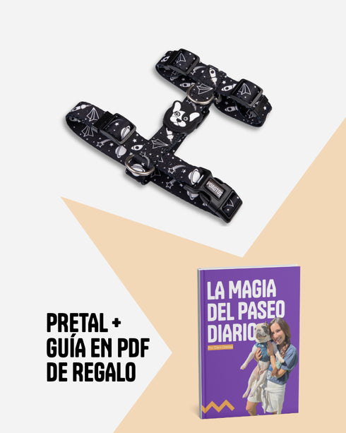 Pretal Doble Agarre Apolo + Guía PDF "La Magia del Paseo Diario" de REGALO
