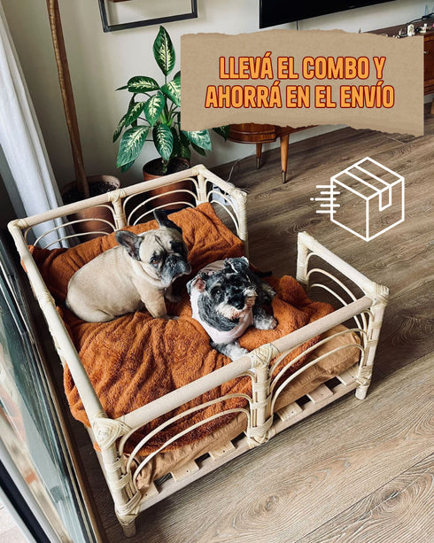 COMBO 2 "Cucha Presidencial + Colchón Simmons + Funda de regalo 70X90cm"