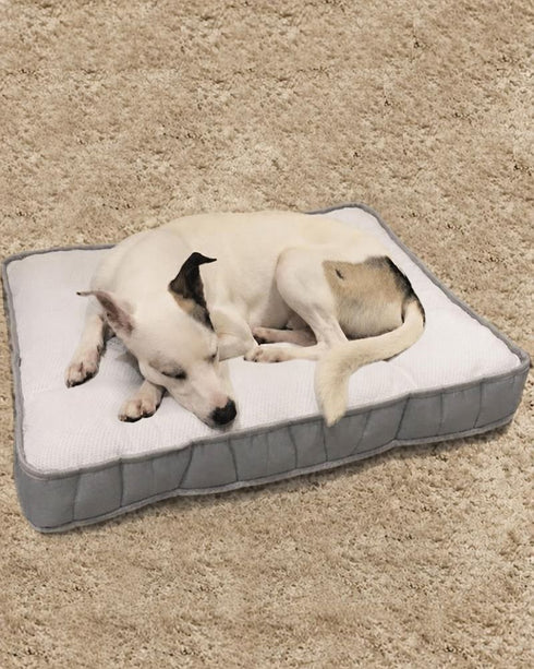 Colchón Premium Simmons para Perros (70x90 cm) + Funda de regalo