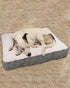 Colchón Premium Simmons para Perros (70x90 cm) + Funda de regalo