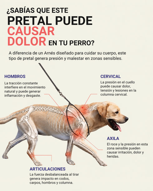 Arnes Doble Agarre Rosa