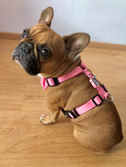 Arnes Doble Agarre Rosa