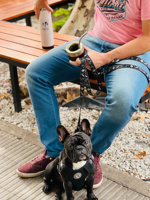 Arnes Doble Agarre Apolo Black