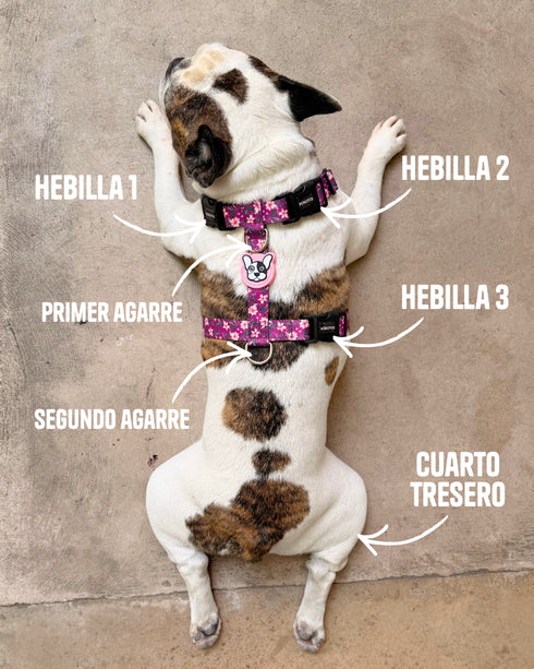 Pretal Freestyle Cerezo