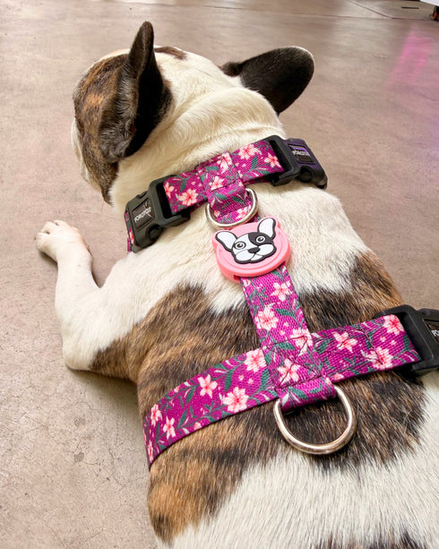 Pretal Freestyle Floral