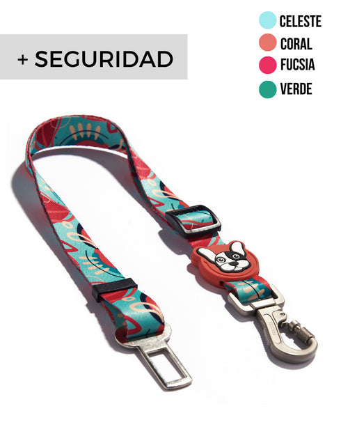 Cinturón de seguridad Piñata