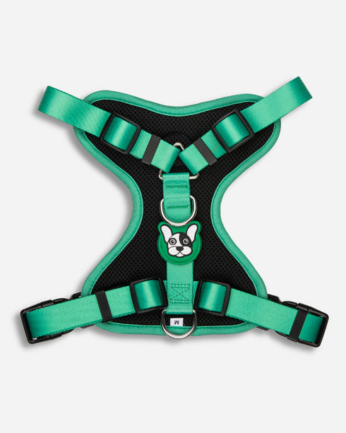 Arnes Doble Agarre Verde