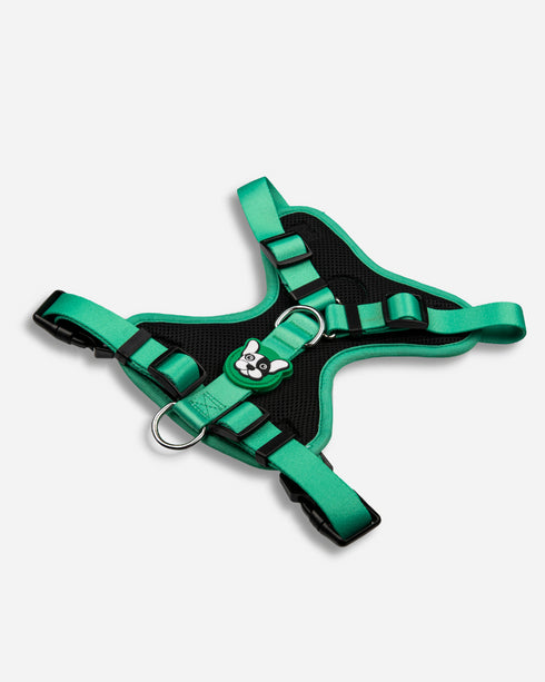 Arnes Doble Agarre Verde