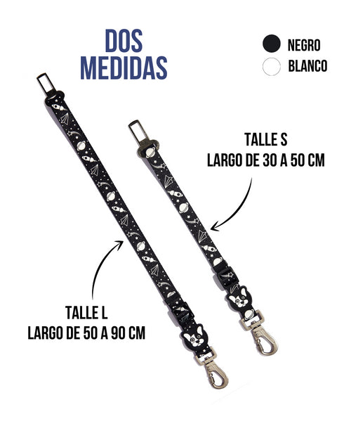 Cinturón de seguridad Apolo