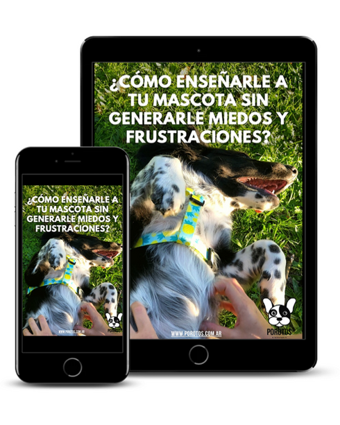Guía en PDF: ¿Cómo enseñarle a tu perro sin generarle miedos y frustraciones?