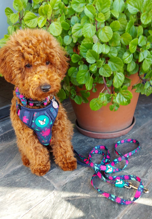 Arnes Doble Agarre Floral