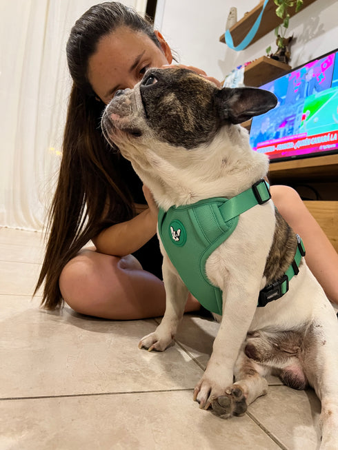 Arnes Doble Agarre Verde